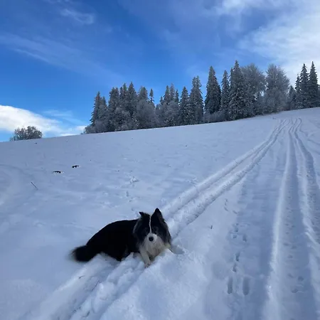 Siedlisko Doremido-mki Bez Barier Chalet *