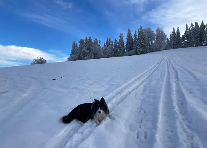 Siedlisko Doremido-mki 